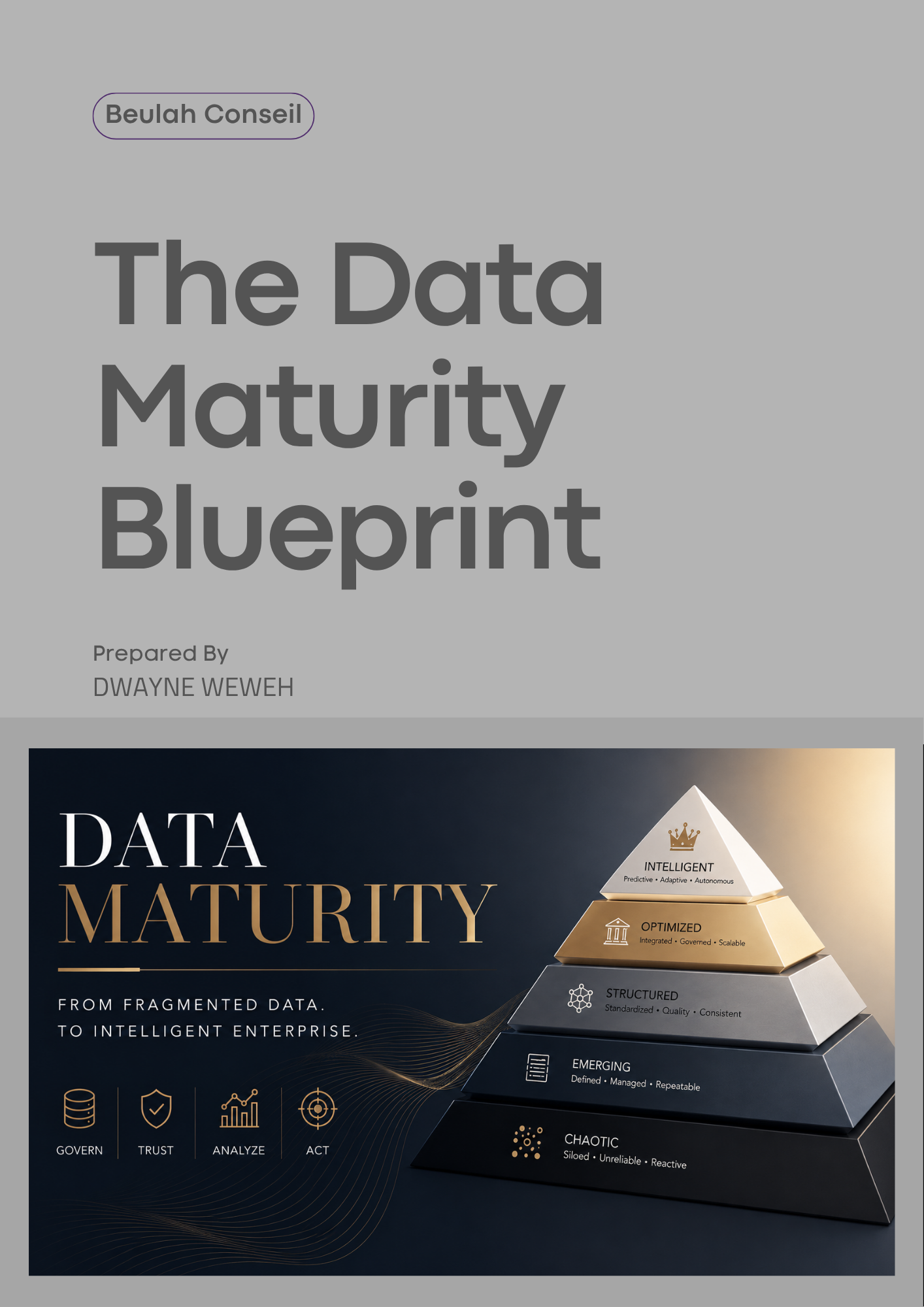 The Data  Maturity Blueprint
